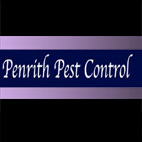 Penrith Pest Control